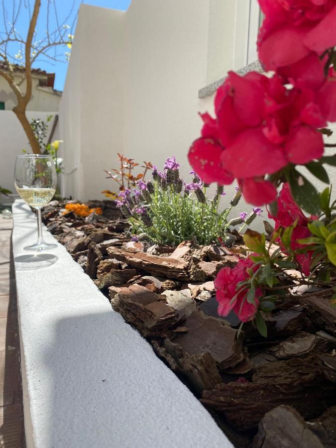 Casas Dos Seixos Villa Moledo  Bagian luar foto